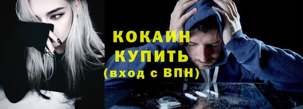 дмт Пересвет