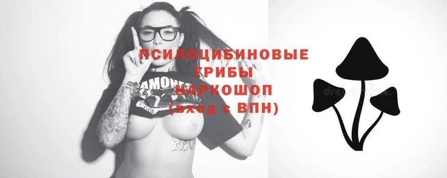 прущие крисы Баксан