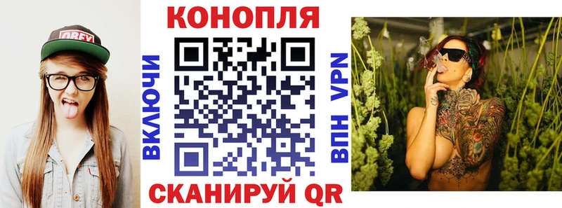 наркота Суворов Марихуана конопля